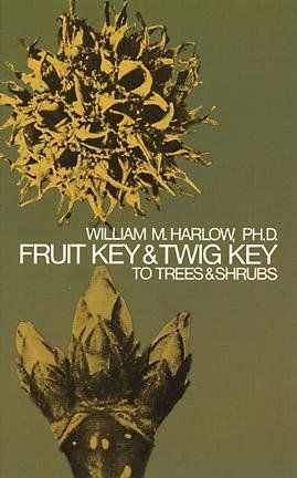 Fruit Key and Twig Key to Trees and Shrubsfruit 