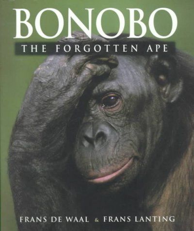 Bonobobonobo 