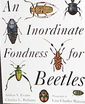 An Inordinate Fondness for Beetlesinordinate 