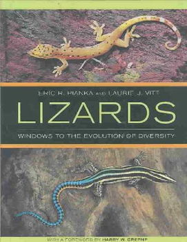 Lizardslizards 