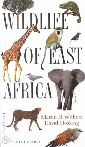 Wildlife of East Africawildlife 
