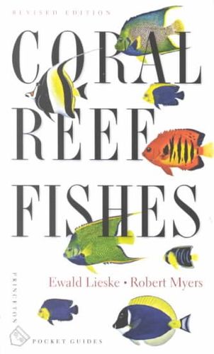 Coral Reef Fishescoral 