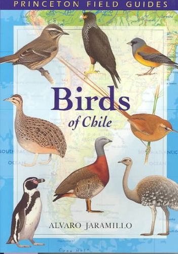 Birds of Chilebirds 