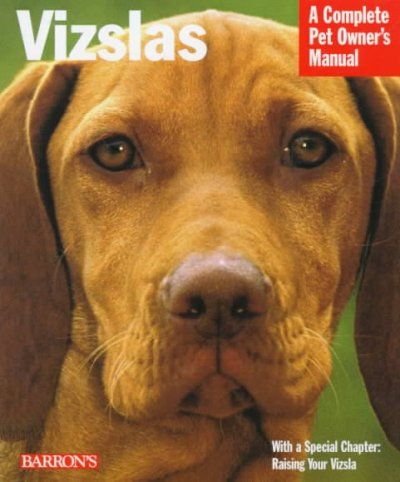 Vizslasvizslas 