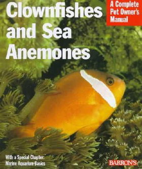 Clownfishes and Sea Anemonesclownfishes 