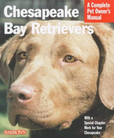 Chesapeake Bay Retrieverschesapeake 