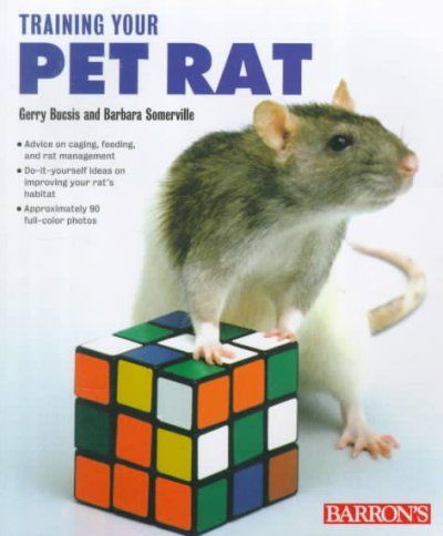 Training Your Pet Rattraining 