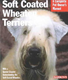 Soft Coated Wheaten Terrierssoft 