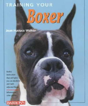 Training Your Boxertraining 