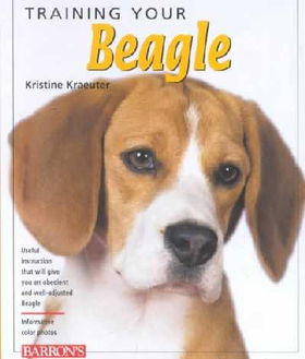 Training Your Beagletraining 