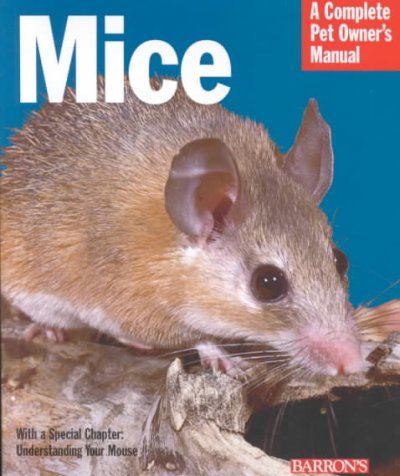 Micemice 