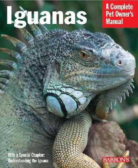 Iguanasiguanas 