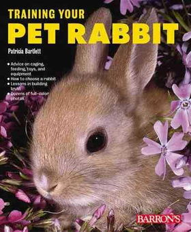 Training Your Pet Rabbittraining 