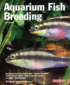 Aquarium Fish Breedingaquarium 