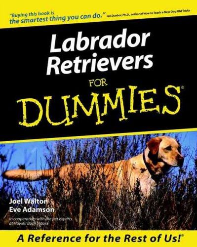 Labrador Retrievers for Dummieslabrador 