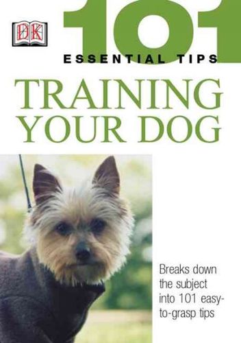 Training Your Dogtraining 
