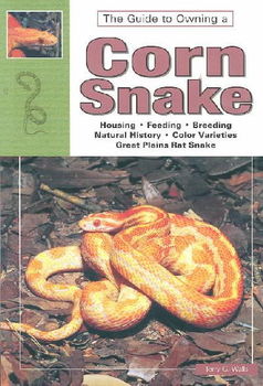 The Guide to Owning a Corn Snakeguide 