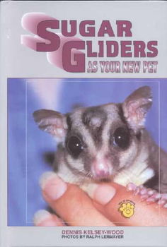 Sugar Gliders As Your New Petsugar 