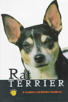 Rat Terrierrat 