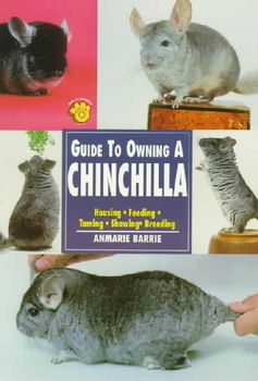 Guide to Owning a Chinchillaguide 