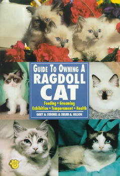 Guide to Owning a Ragdoll Catguide 