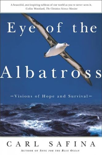 Eye of the Albatrosseye 