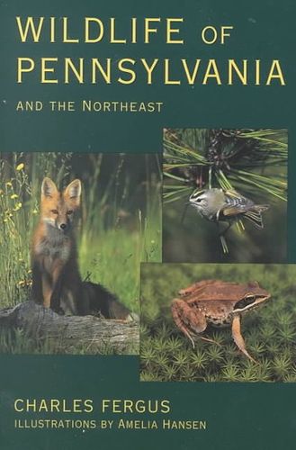 Wildlife of Pennsylvania and the Northeastwildlife 