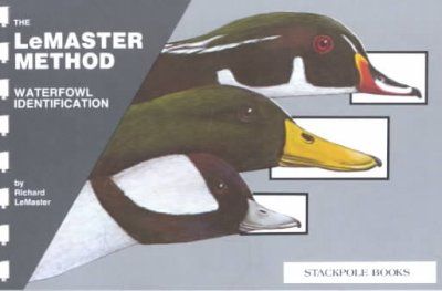 Waterfowl Identificationwaterfowl 