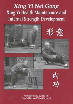 Xing Yi Nei Gongxing 