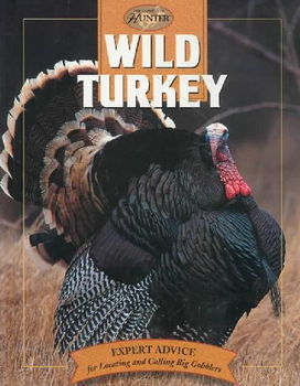 Wild Turkeywild 