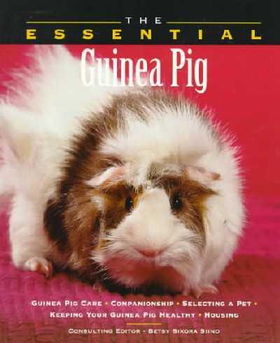 The Essential Guinea Pigessential 