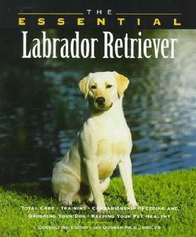 The Essential Labrador Retrieveressential 