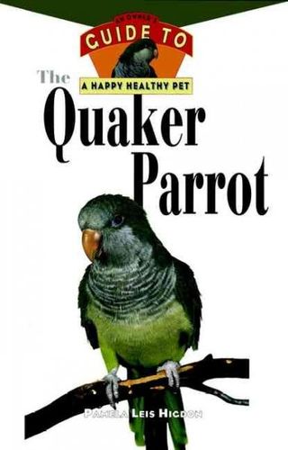The Quaker Parrotquaker 