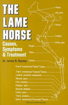 Lame-Horse Causes, Symptoms and Treatmentslame 