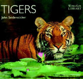 Tigerstigers 