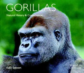 Gorillasgorillas 