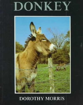 Looking After a Donkeylooking 