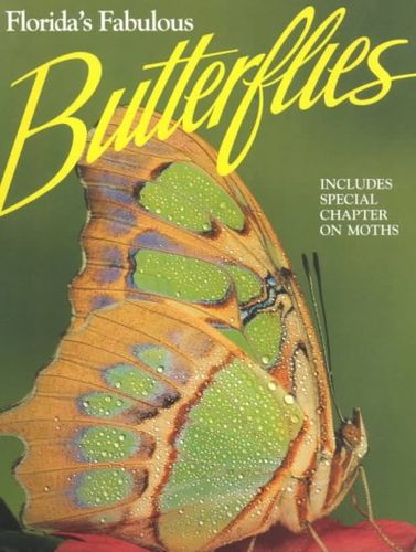 Florida's Fabulous Butterflies & Mothsflorida 