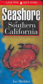 Seashore of Southern Californiaseashore 