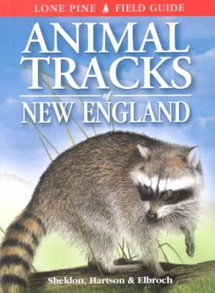 Animal Tracks of New Englandanimal 