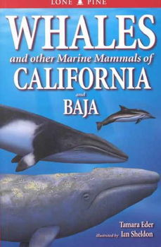 Whales and Other Marine Mammals of California and Bajawhales 