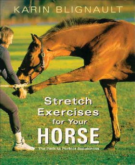 Stretch Exercises for Your Horsestretch 