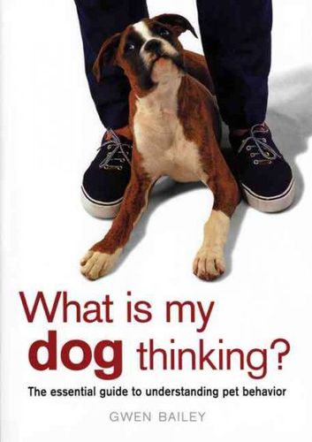 What Is My Dog Thinkingdog 