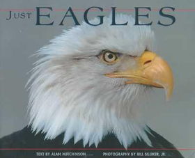 Just Eagleseagles 