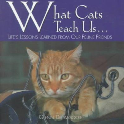 What Cats Teach Us...cats 