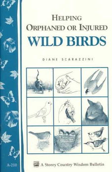 Helping Orphaned or Injured Wild Birdshelping 