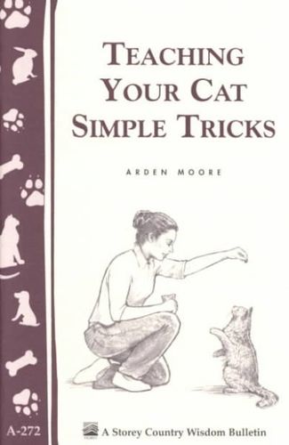 Teaching Your Cat Simple Tricksteaching 