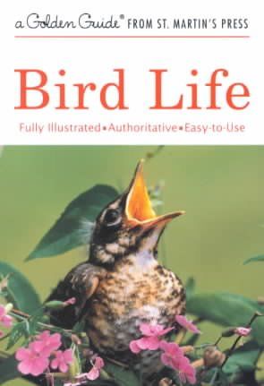 Bird Lifebird 