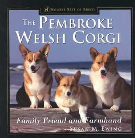 The Pembroke Welsh Corgipembroke 