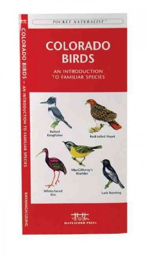 Colorado Birdscolorado 